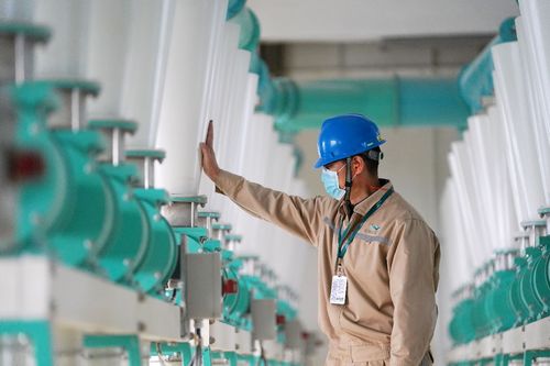 益海嘉里金龙鱼 疫情之下稳舵前行，持续加码中国市场